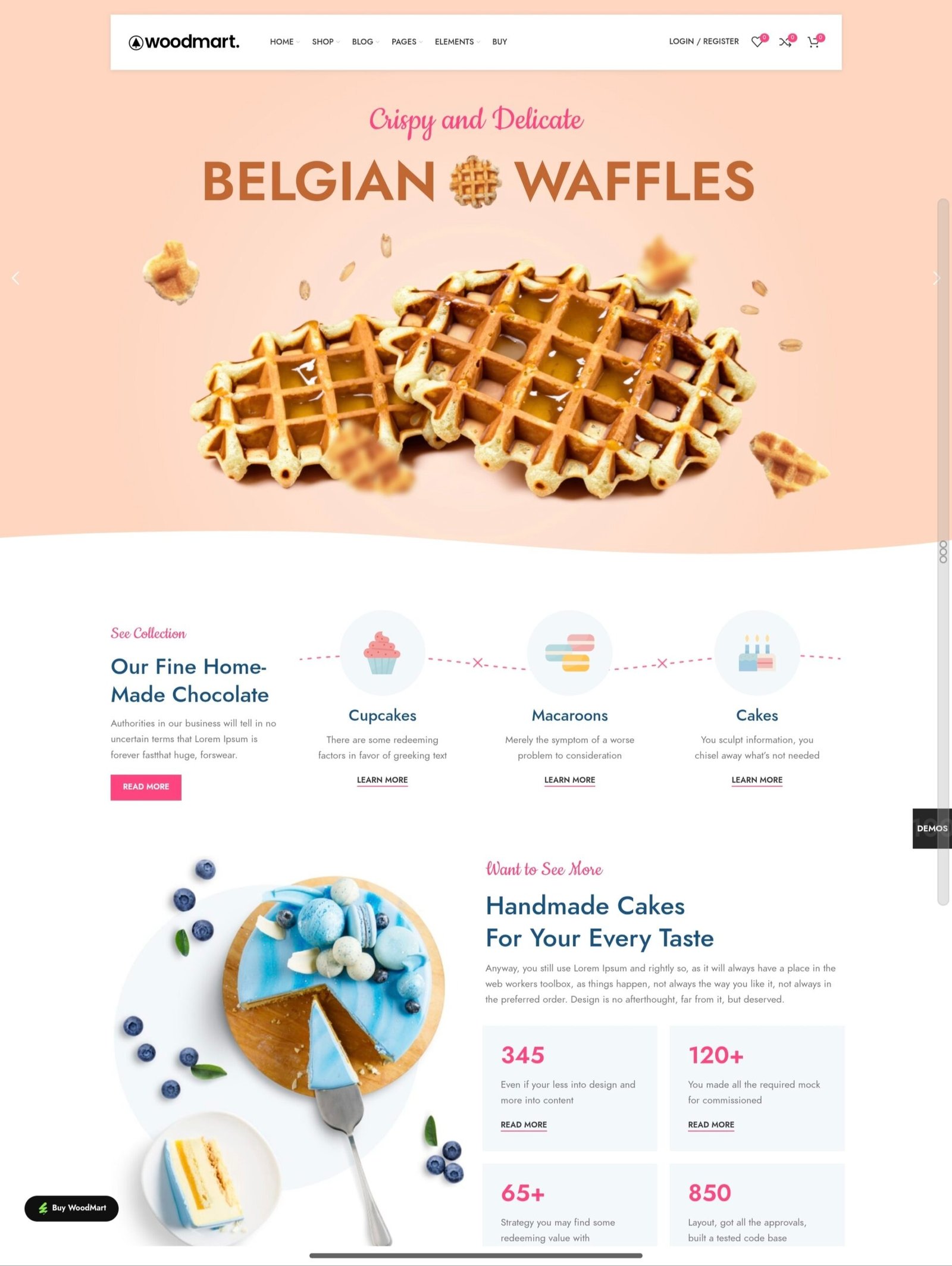 Portfolio App 12